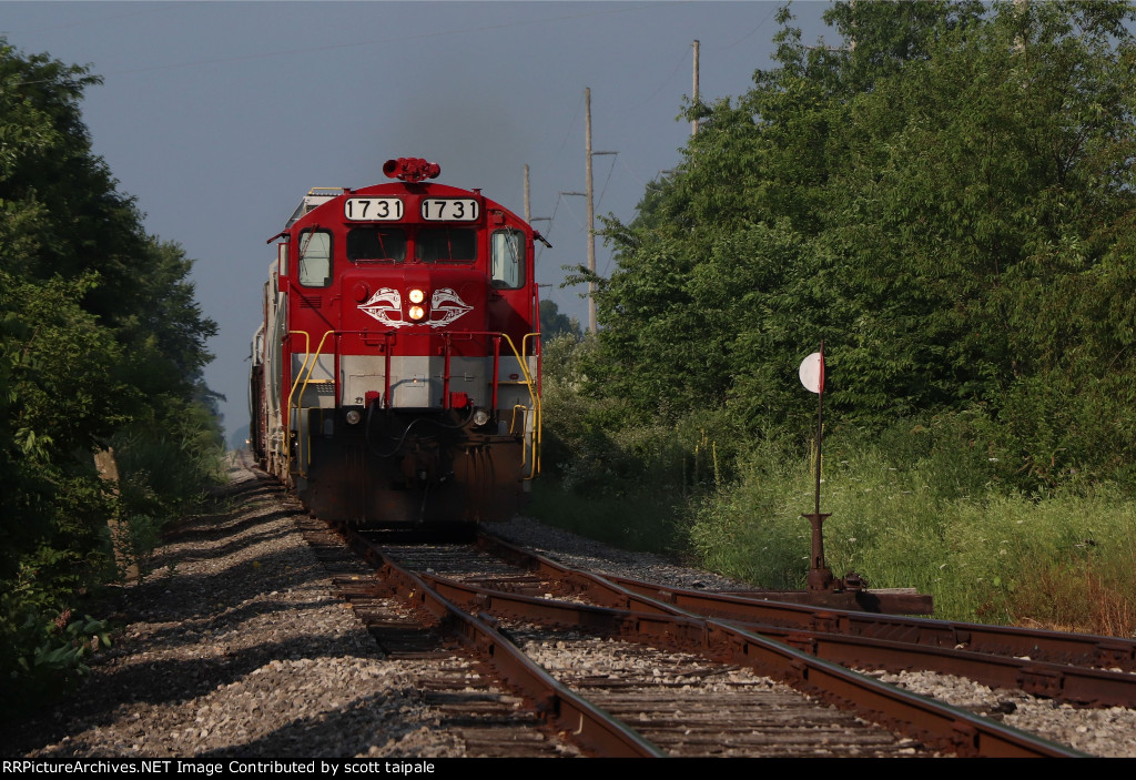 RJC 1731 trails through Buckland